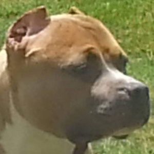 Meet your Posher, Ricky